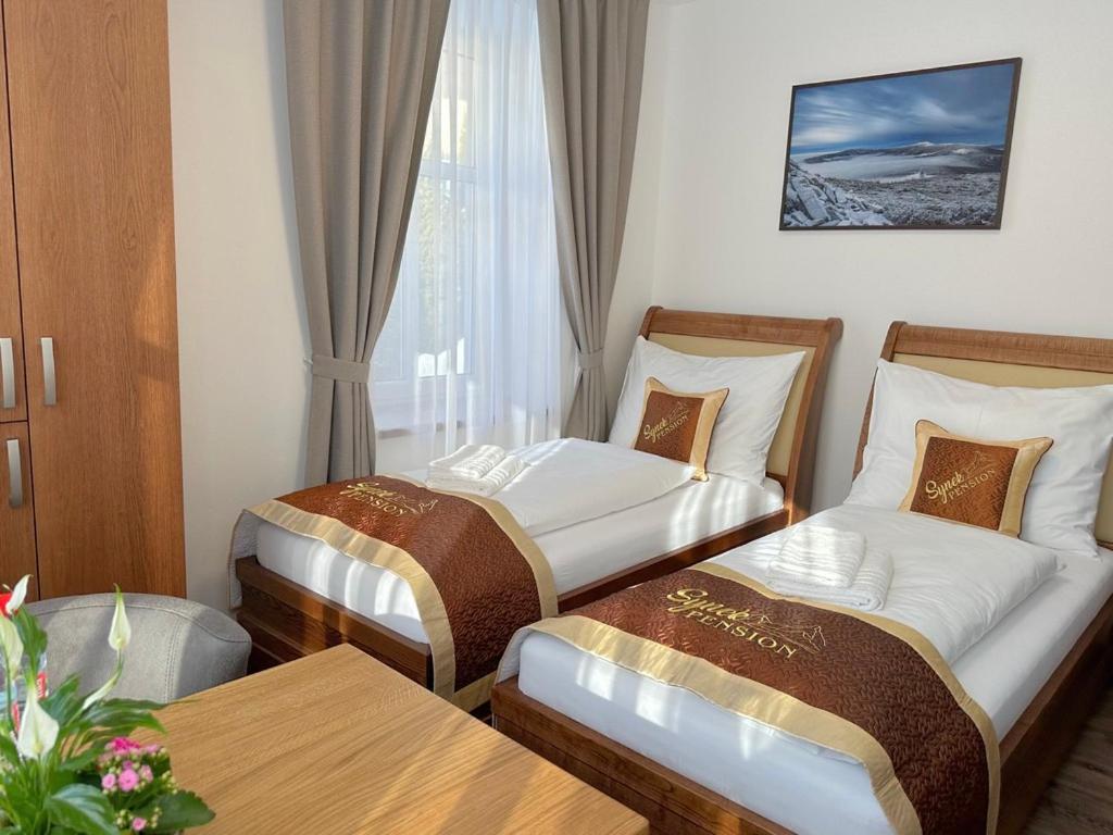 Synek Pension Špindlerŭv Mlýn 외부 사진